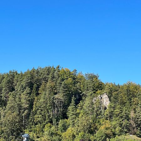 Ferienwohnung Pfaffensteinblick Hirschbach  Esterno foto