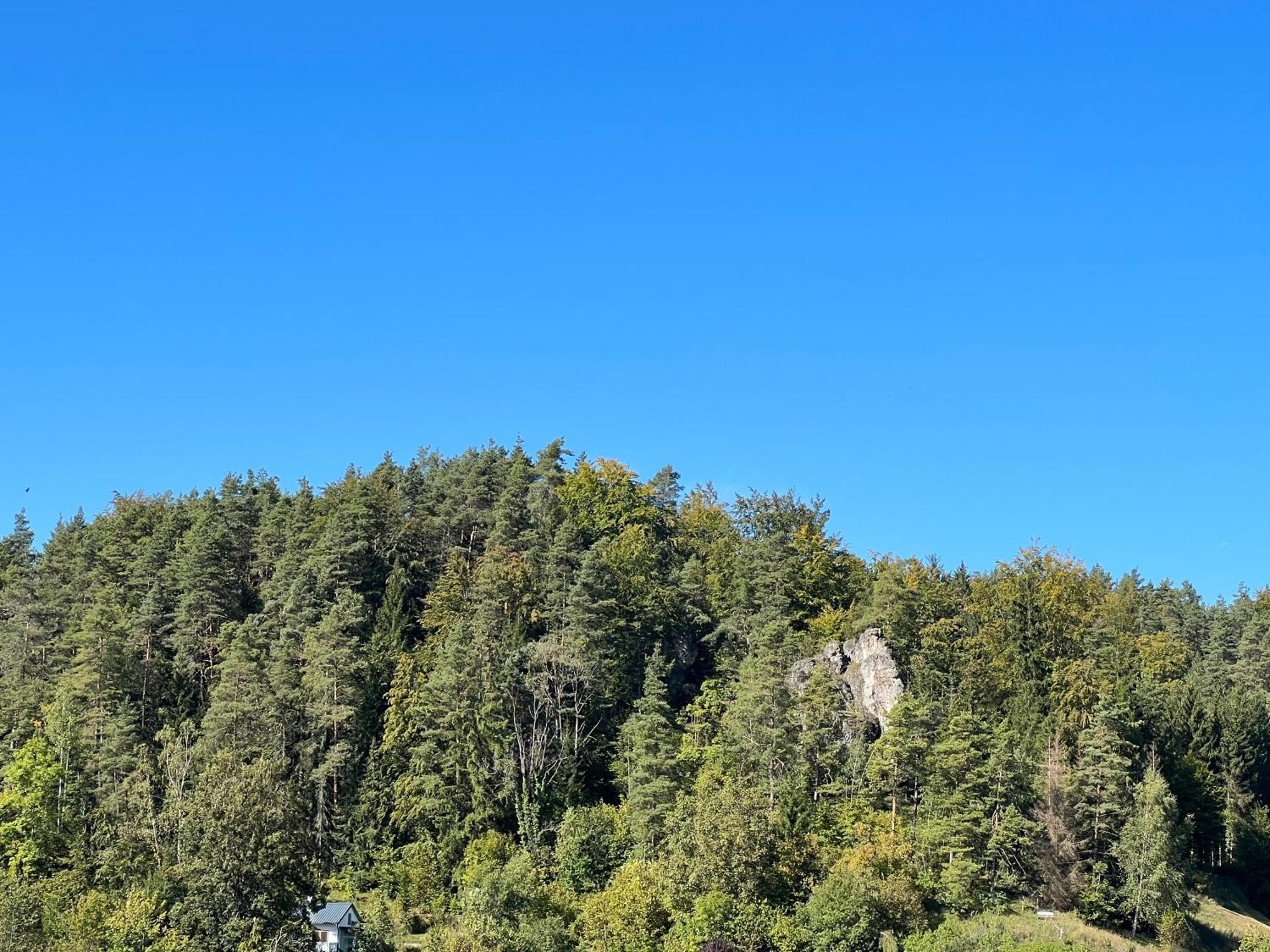Ferienwohnung Pfaffensteinblick Hirschbach  Esterno foto